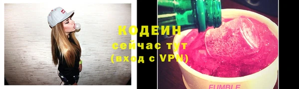 крисы Лабытнанги