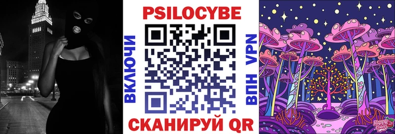 ОМГ ОМГ ONION  Ладушкин  Псилоцибиновые грибы мухоморы 